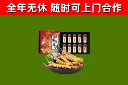 沈河烟酒回收冬虫夏草礼盒.jpg